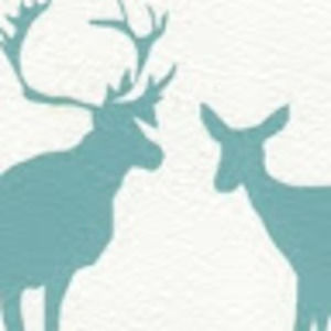 Meet your Posher, Kathryn